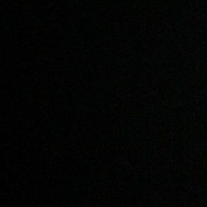 Meet your Posher, Trevor